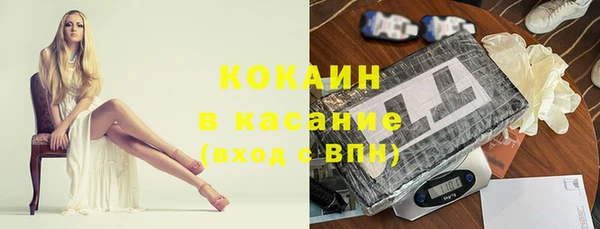 прущие грибы Волоколамск