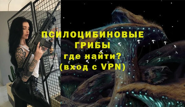прущие грибы Волоколамск
