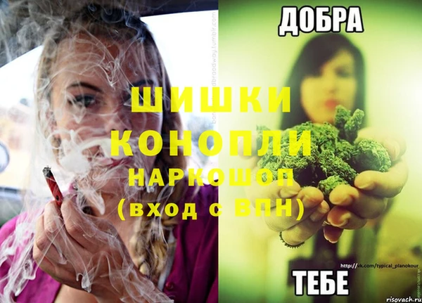 гашик Волосово