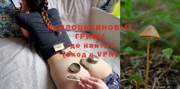 прущие грибы Волоколамск