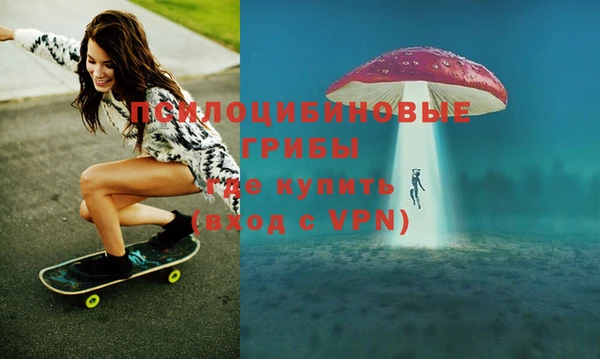 гашик Волосово