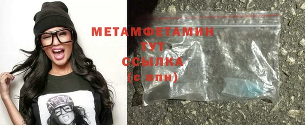 прущие грибы Волоколамск