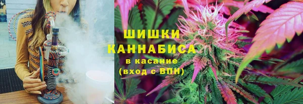 прущие грибы Волоколамск
