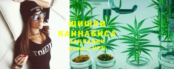 прущие грибы Волоколамск