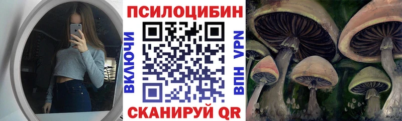 MEGA tor  Воркута  Галлюциногенные грибы Psilocybe 